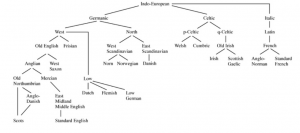 Indo-European language family tree illustrating the Germanic, Celtic and Italic branches [43]