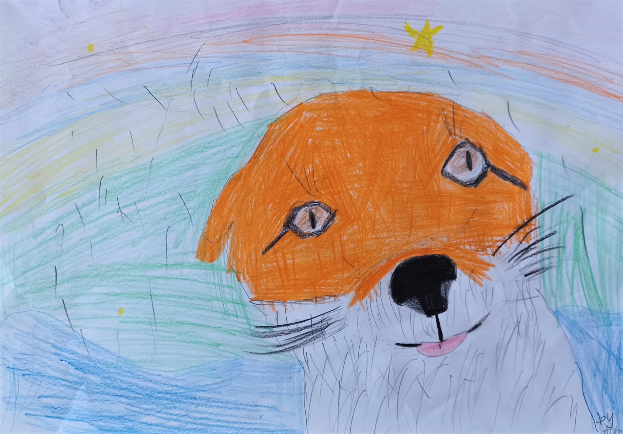 Balnain Primary School overall winners of Scottish mammal art ...